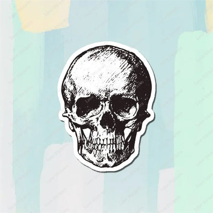 Vintage Anatomical Medical Skull Illustration 5PCS Stickers for Living Room Bumper Anime Cute Kid Car Art Print Window