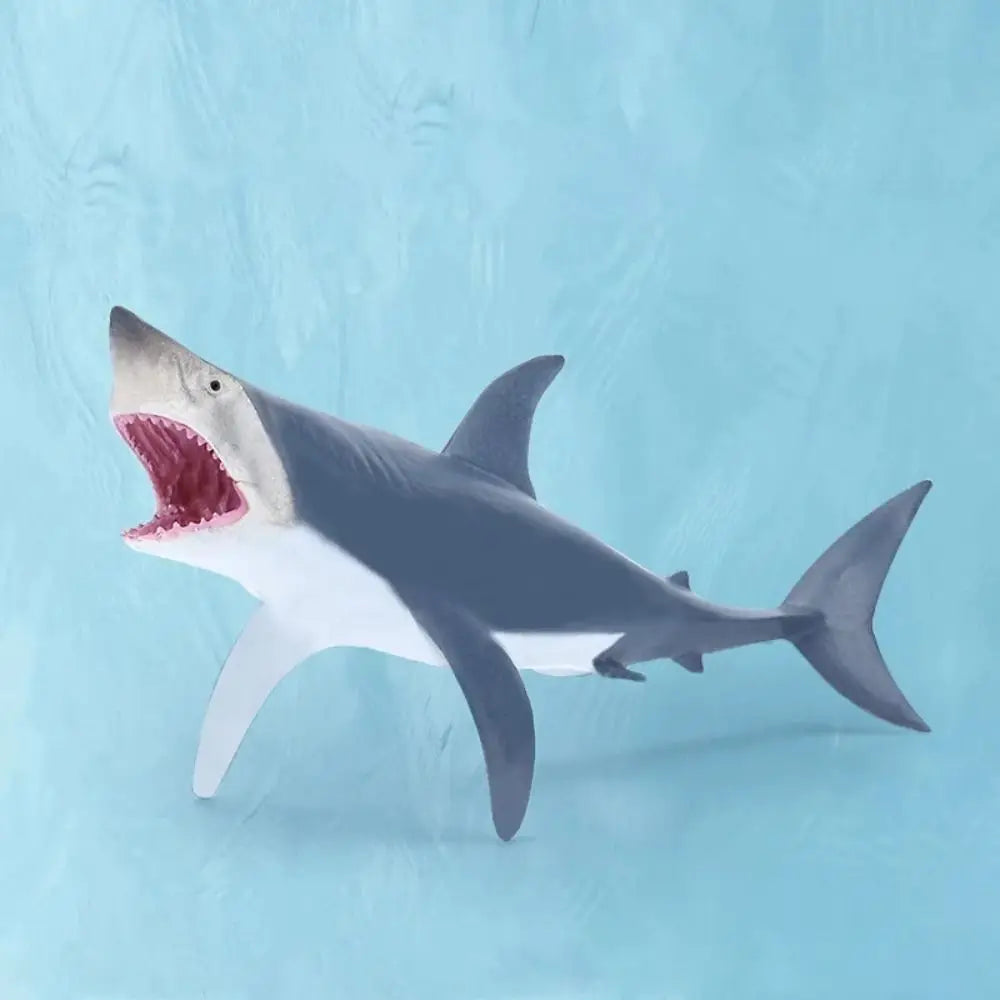 Simulation Marine Sea Life Whale Figurines Shark Cachalot Action Figures Ocean Animal Model Dolphin Hammerhead Educational Toys
