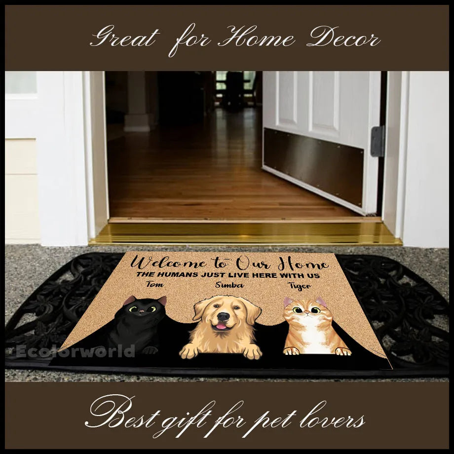 Felpudo personalizado con dibujos animados para mascotas, felpudo con nombre de perro y gato personalizado, felpudo de bienvenida a nuestro hogar, alfombras, decoración del hogar, accesorio, regalo