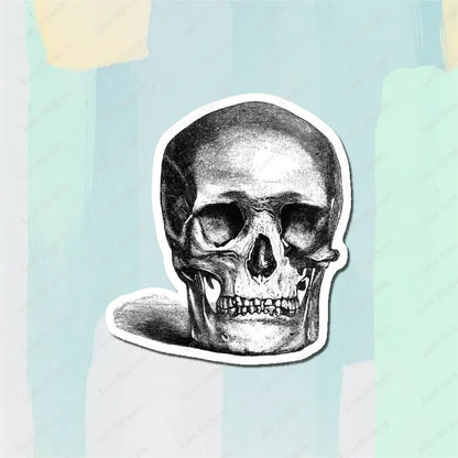 Vintage Anatomical Medical Skull Illustration 5PCS Stickers for Living Room Bumper Anime Cute Kid Car Art Print Window